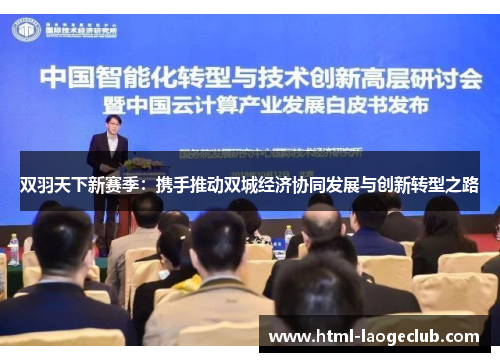 双羽天下新赛季：携手推动双城经济协同发展与创新转型之路
