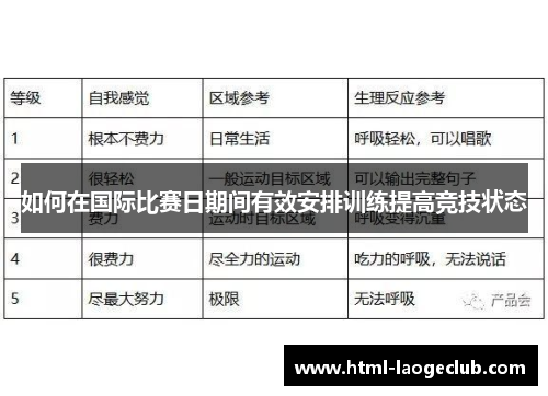 如何在国际比赛日期间有效安排训练提高竞技状态