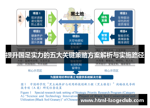 提升国足实力的五大关键策略方案解析与实施路径
