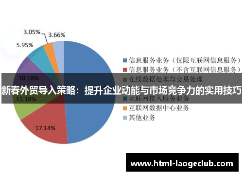 新春外贸导入策略：提升企业动能与市场竞争力的实用技巧