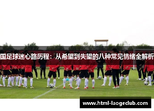 国足球迷心路历程：从希望到失望的八种常见情绪全解析