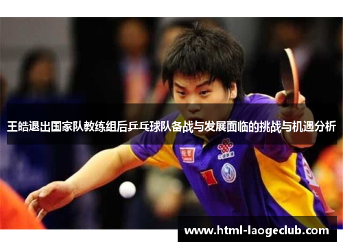 王皓退出国家队教练组后乒乓球队备战与发展面临的挑战与机遇分析