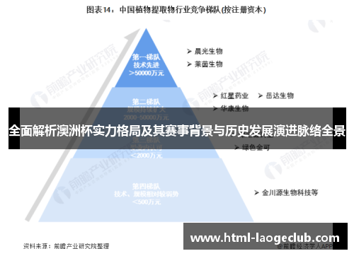 全面解析澳洲杯实力格局及其赛事背景与历史发展演进脉络全景