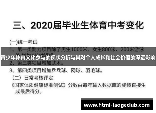 青少年体育文化参与的现状分析与其对个人成长和社会价值的深远影响