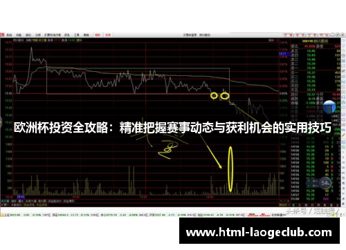 欧洲杯投资全攻略：精准把握赛事动态与获利机会的实用技巧